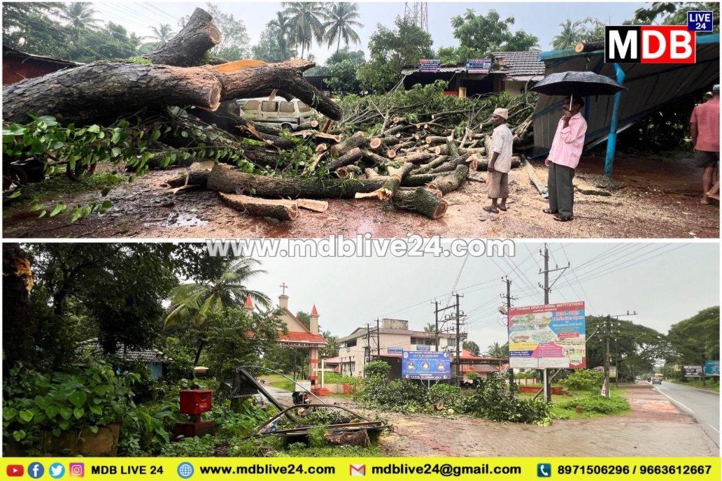 ಮೂಡುಬಿದಿರೆ: ಮುಂದುವರಿದ ಬಿರುಗಾಳಿ ಅಬ್ಬರ೬ ಮನೆಗಳಿಗೆ ಹಾನಿ, ಧರಾಶಾಯಿಯಾದ ವಿದ್ಯುತ್ ಕಂಬಗಳು, ಅಟೋಸ್ಟಾಂಡ್ ಗೆ ಹಾನಿ